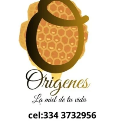 Origenes